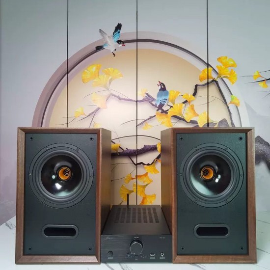 Fever-grade 8-inch coaxial passive bookshelf speakers HIFI high-fidelity 2.0 living room home audio